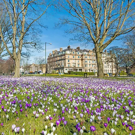Westfield Stables Kirk Hammerton
