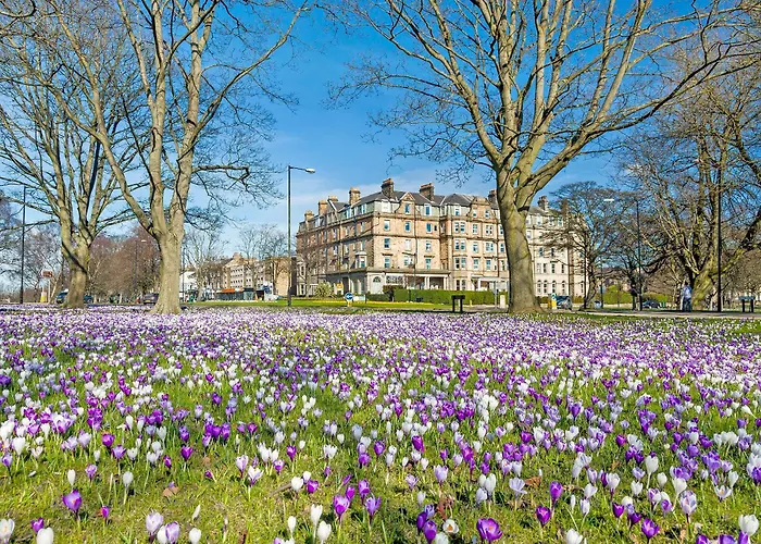Westfield Stables Kirk Hammerton